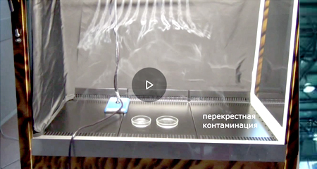 видео1