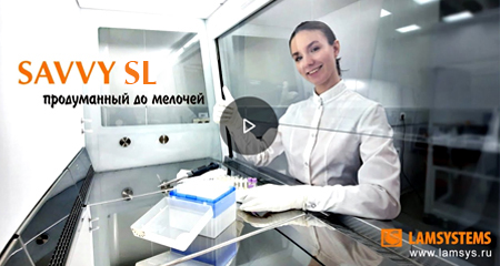 видео1
