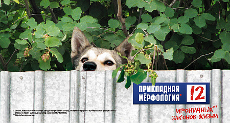 Прикладная Мёрфология